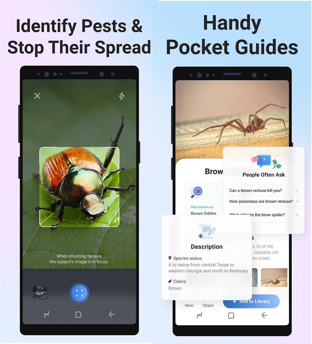 Picture Insect Bug Identifier MOD APK